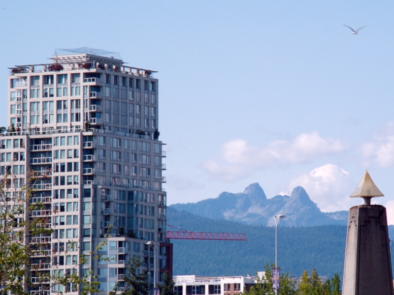 Shapes, Colours, Patterns